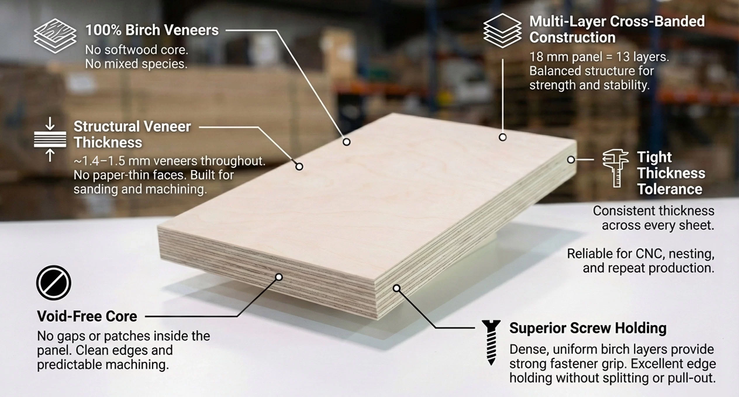 Anatomy of Baltic Birch | PlyHolz